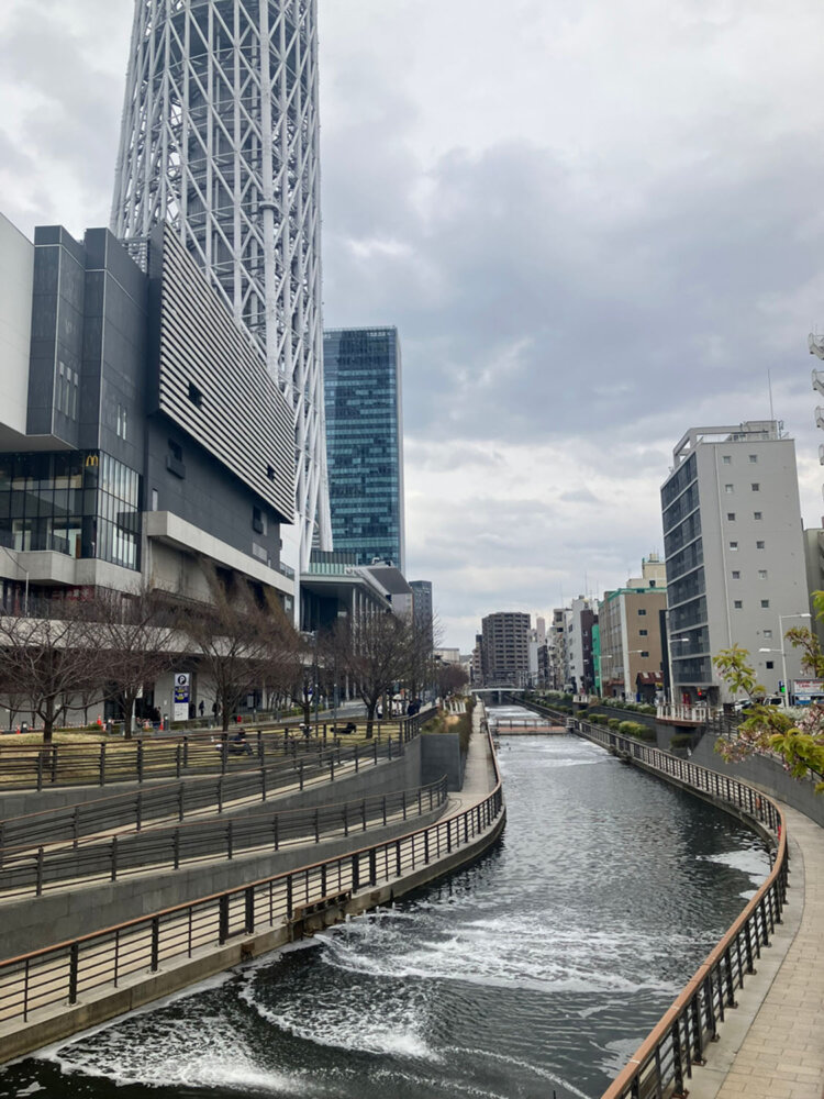北十間川越しにスカイツリーを望めるおしなり公園では、写真を撮る人も多く見られる。