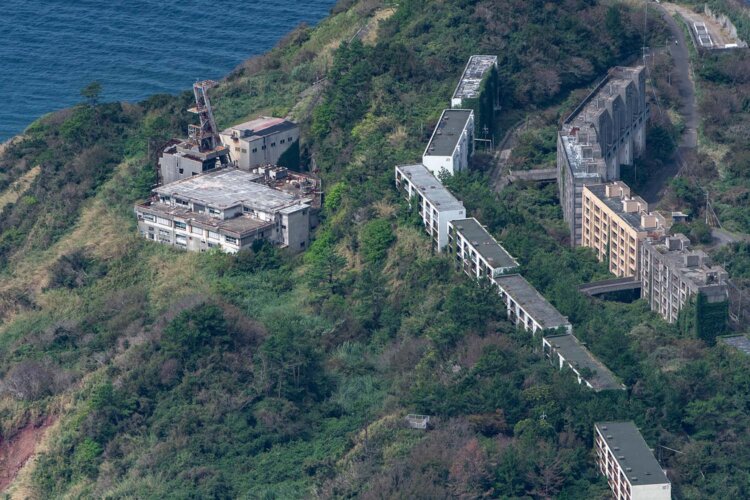 左が第二立坑、右が通称「８階建て」と称する団地群。鉄筋コンクリートのアパートは頑丈だが自然の成長には逆らえず、緑の中へと没していった。