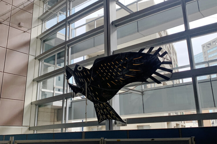 大田区役所に展示されているとんび凧。とても大きい！