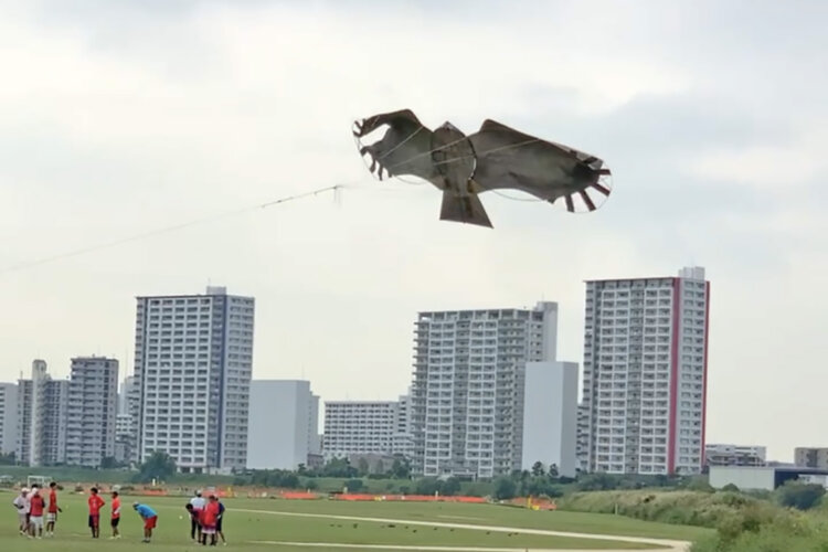 なかなか高くあがらない凧。