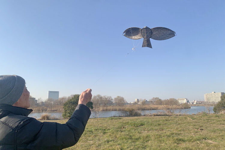 空に浮かんでいくとんび凧。