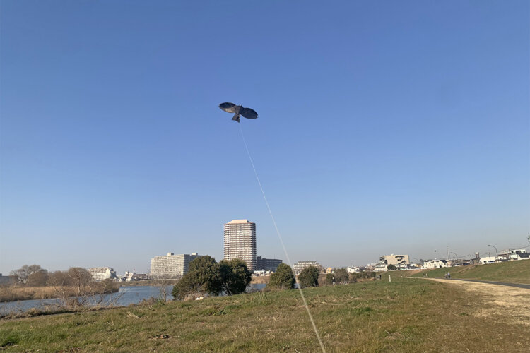 あがったーーー！！