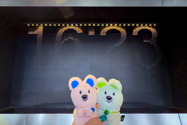 ◇カメラの設定　倍率0.9倍 ／ 連写