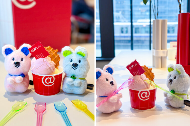 ◇カメラの設定（左）ポートレート ／ 倍率2倍 （右）倍率2倍