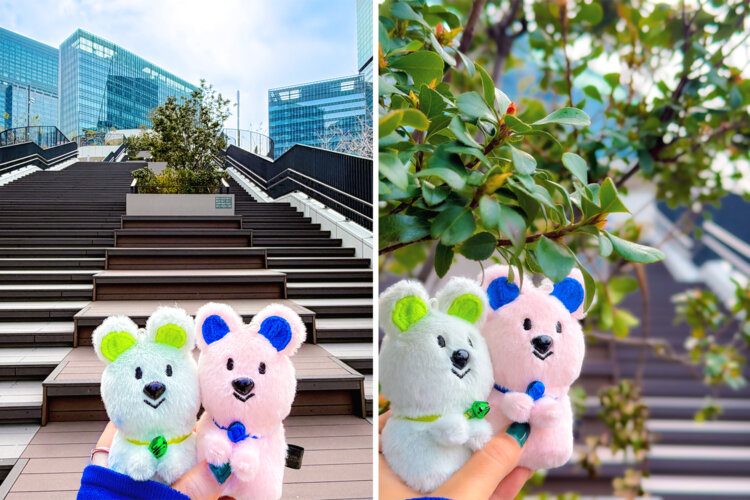 ◇カメラの設定（左）倍率0.9倍 （右）ポートレート ／ f16 ／ 倍率2倍