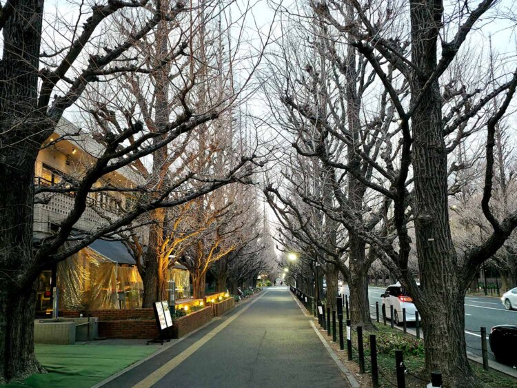 32黒猫スイーツ散歩