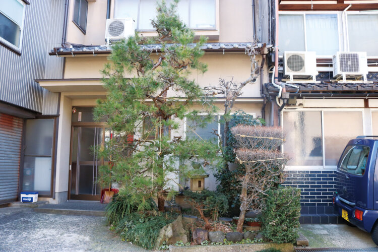 松の枝ぶりに合わせさまざまな方向に縄が張られる。横の低木にも鉢巻きのような雪吊り。