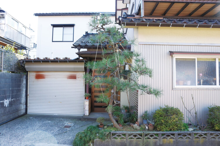 ランダムに縄が張られた雪吊り。お父さまが新築時に植え、親子二代で大切に育てられている。