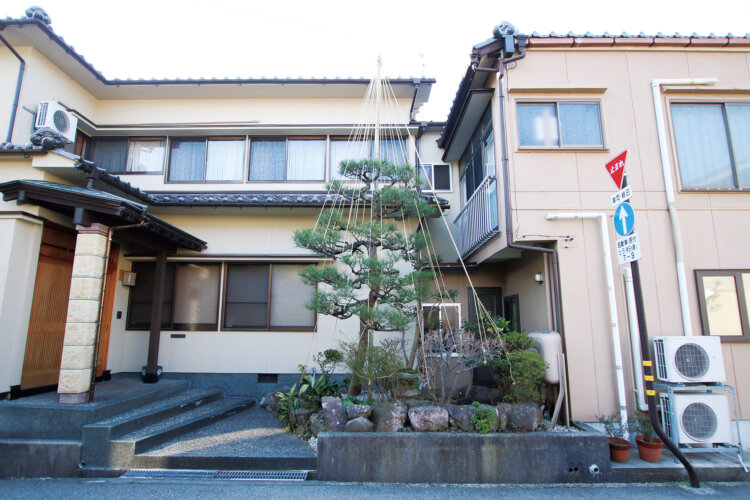 背の高い木を中心に、周囲の低木も一緒に吊る。「りんご吊り」というスタンダードな手法。