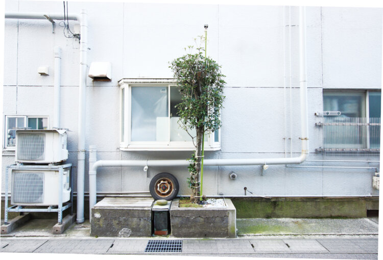 機能性と美しさのコラボレーション。山本周さんに伺う、雪国の「雪吊り」