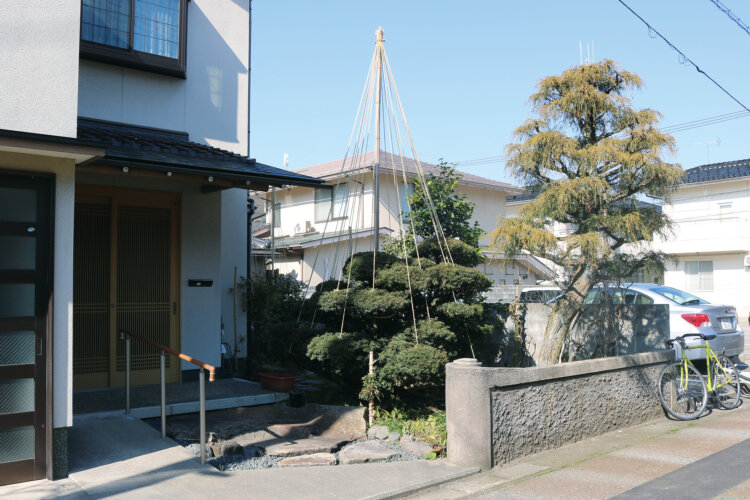 １本の柱から複数の縄を垂らし枝を吊るという代表的な形。職人による美しい雪吊り。