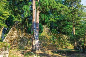 【旅の手帖】豊臣兄弟ゆかりの城 高取城