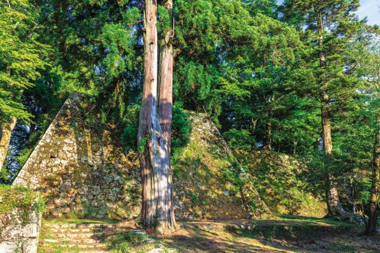 険しい山城なので足ごしらえや水分など準備を万全に。トイレの場所も要確認！