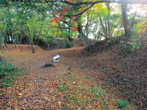 【旅の手帖】豊臣兄弟ゆかりの城 鳥取城(鳥取市教育委員会②)