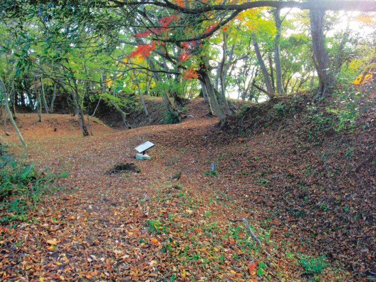 鳥取城本丸の東1.3kmに位置する本陣山の太閤ヶ平。写真は搦手虎口（裏口）（写真＝鳥取市教育委員会）。