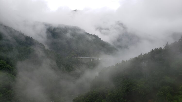 霞とよく似た霧。その違いはどこに？