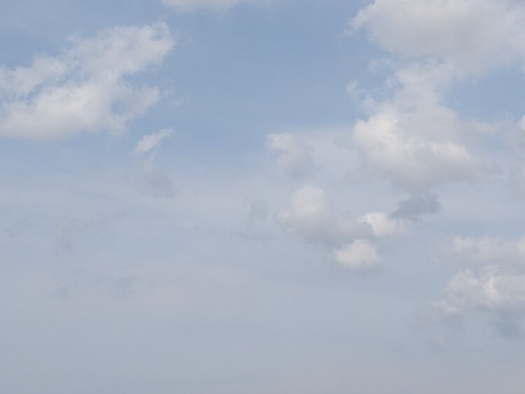 淡く霞んだ空。桜の季節に見上げると、のほほんと和やかな気持ちに。