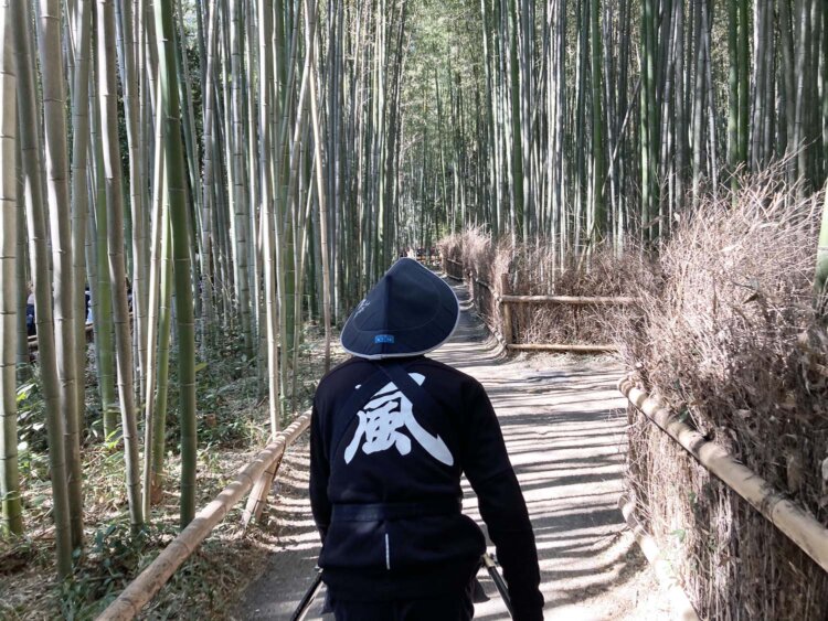 人力車に乗ると通れる小道が素晴らしかった。