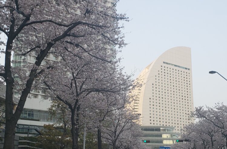 ほんのりとした春の空は冬の濃い青空とは違い、癒やし感が強め。