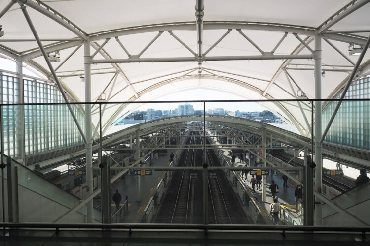 大きい船みたいな景色。開放的でワクワクした。