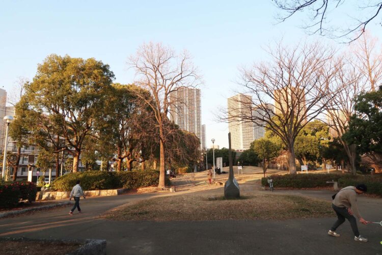 ファミリーで遊ぶ人たちや、一人で楽器を楽しんでいる人、ジョギングをしている人もいる。奥には武蔵小杉駅前のマンション群。