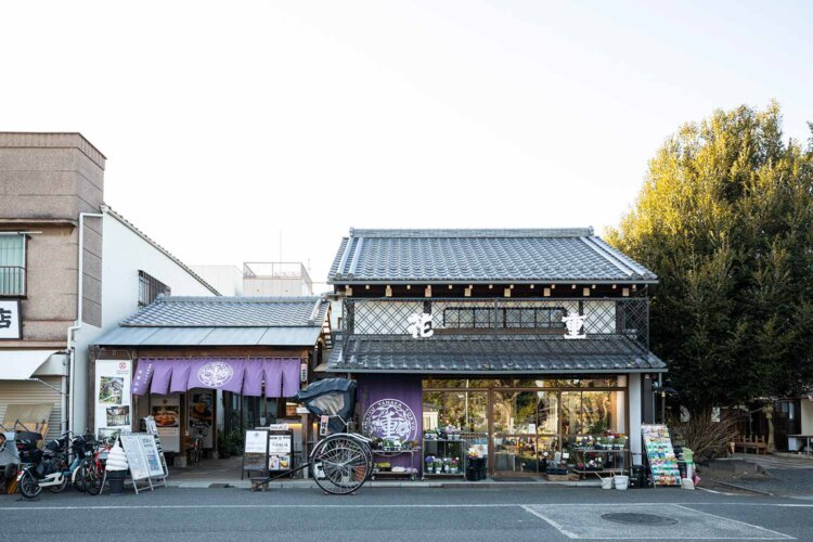 すぐそばの谷中霊園が開園する数年前に生花問屋として創業。