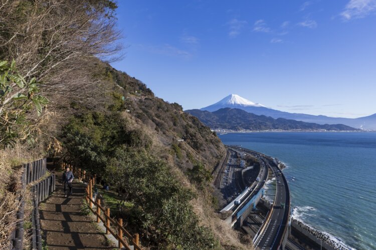 歌川広重の浮世絵にも描かれた、街道歩きの絶景スポット・薩埵（さった）峠（撮影＝高橋敦史）。