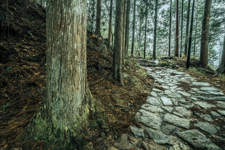 妻籠（つまご）の先の間（あい）の宿（しゅく）・大妻籠から馬籠（まごめ）峠に向かう途中に敷かれた石畳（撮影＝平松マキ）。