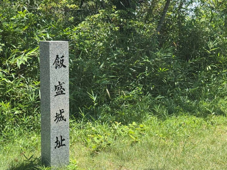 三好家の居城、飯盛城である。