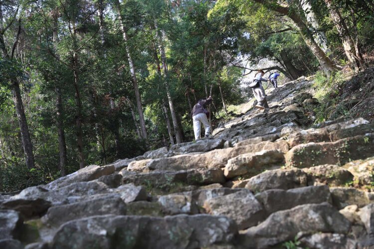 石段は胸突きの急こう配。心配な人は麓で無料の杖を借りて、挑もう。
