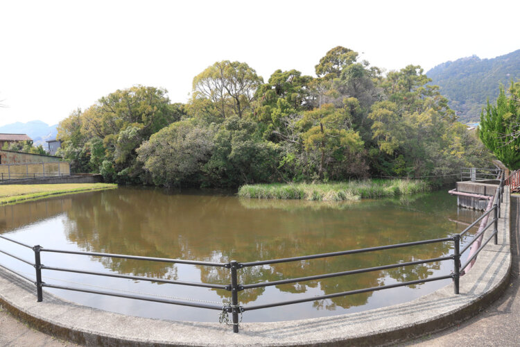 国の天然記念物に指定され、2027年は100年目！