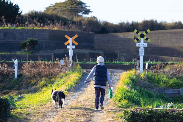 途中下車してこそ楽しめる穏やかな景色をお見逃しなく。