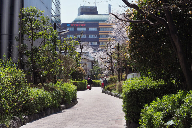 東京街角クイズ 川の跡