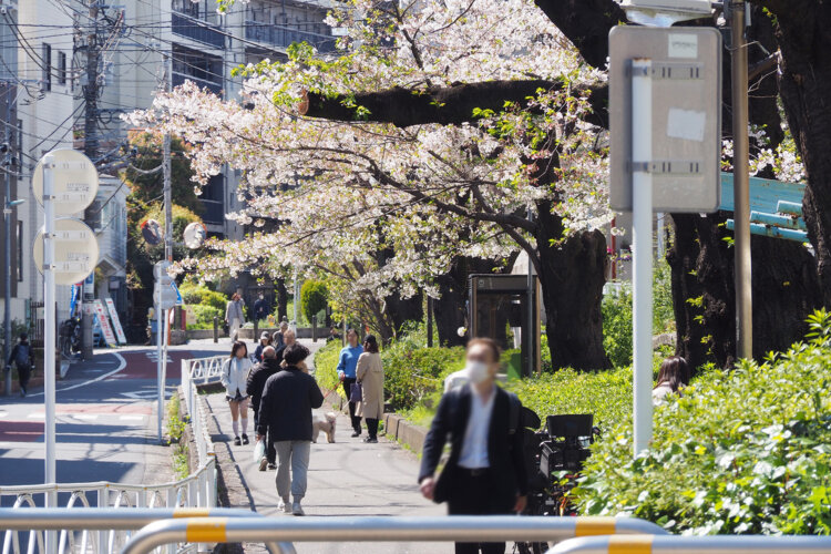 東急東横線の線路より西側につづく蛇崩川緑道。