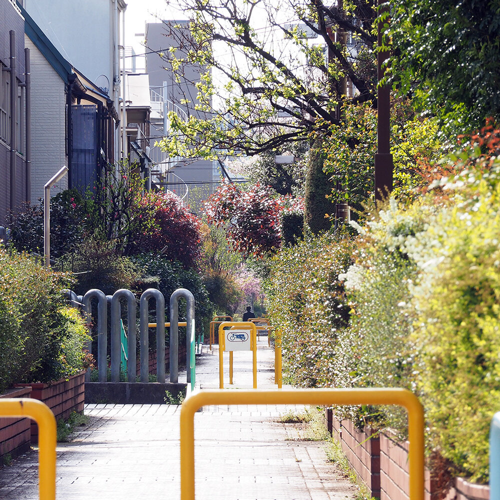 【東京街角クイズ】この写真、どこの川の跡（暗渠）でしょう？〈全6問〉