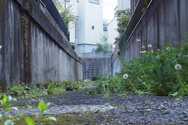 道は行き止まり。かつてはこの先、崖の上に豊島弁財天があった。