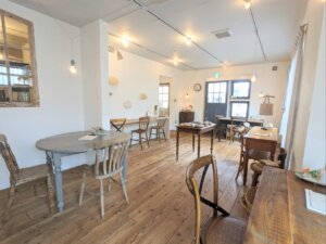 mammal_PXL_20260401_014119739~2