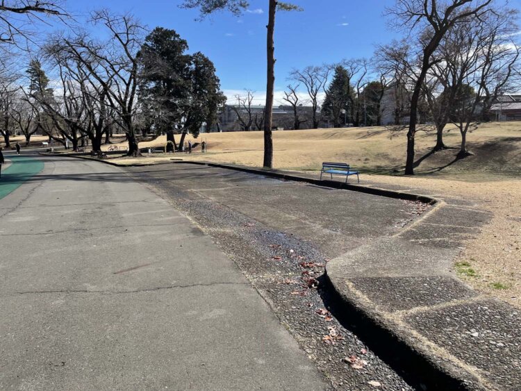ハイドパーク時代から残っている車寄せ。