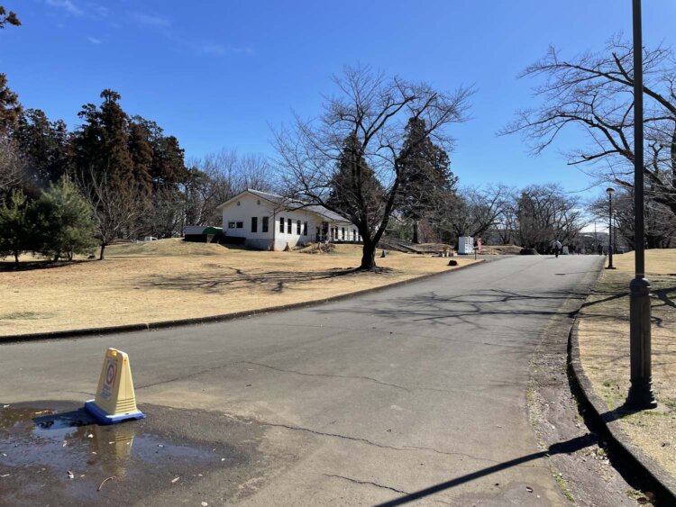 奥に見える白い建物は稲荷山公園管理事務所。