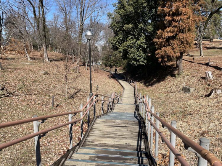 公園北側の住宅地へ続く木道。