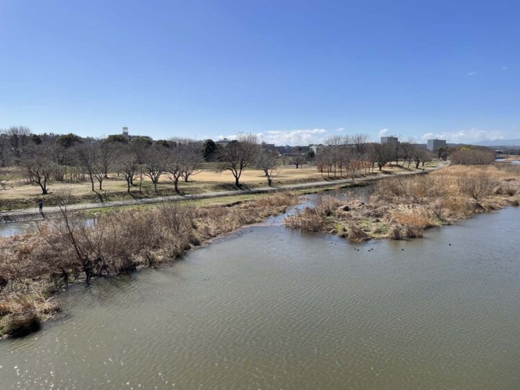 入間川右岸（南側）。