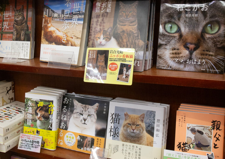 店内は見渡す限り、猫、ねこ、ネコ！