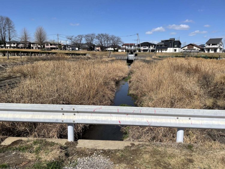 入間川に合流する用水路がいくつかあった。