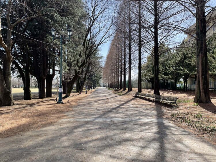 彩の森入間公園。