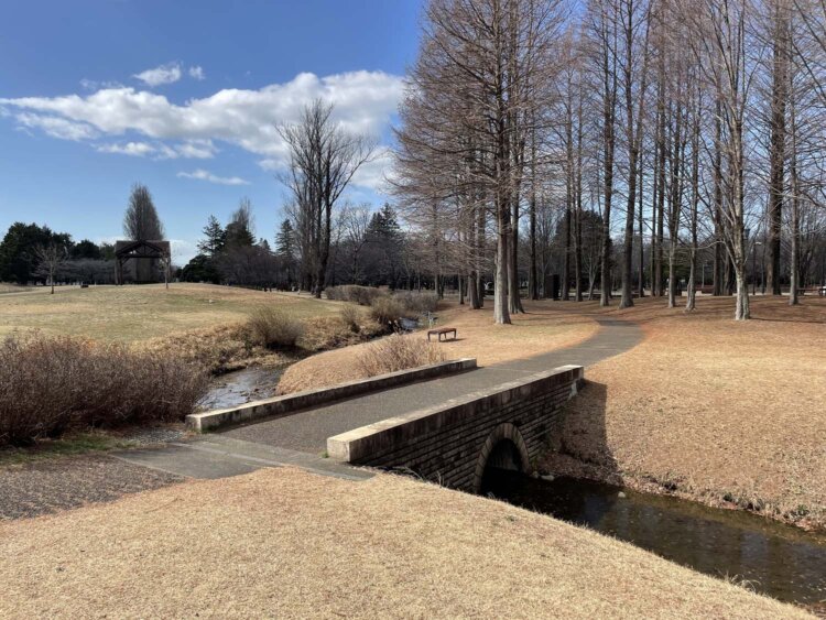 せせらぎと小径と橋。