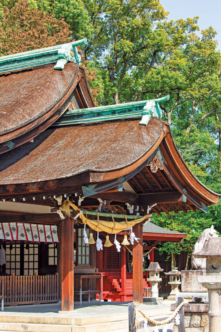 鯉が悠々と泳ぐ神池（写真上）の先に本殿、幣殿、拝殿が連なる檜皮（ひわだ）葺きが見事な尾張（おわり）造りの社殿が立つ。2026年の改修で銅葺きに変わる予定。