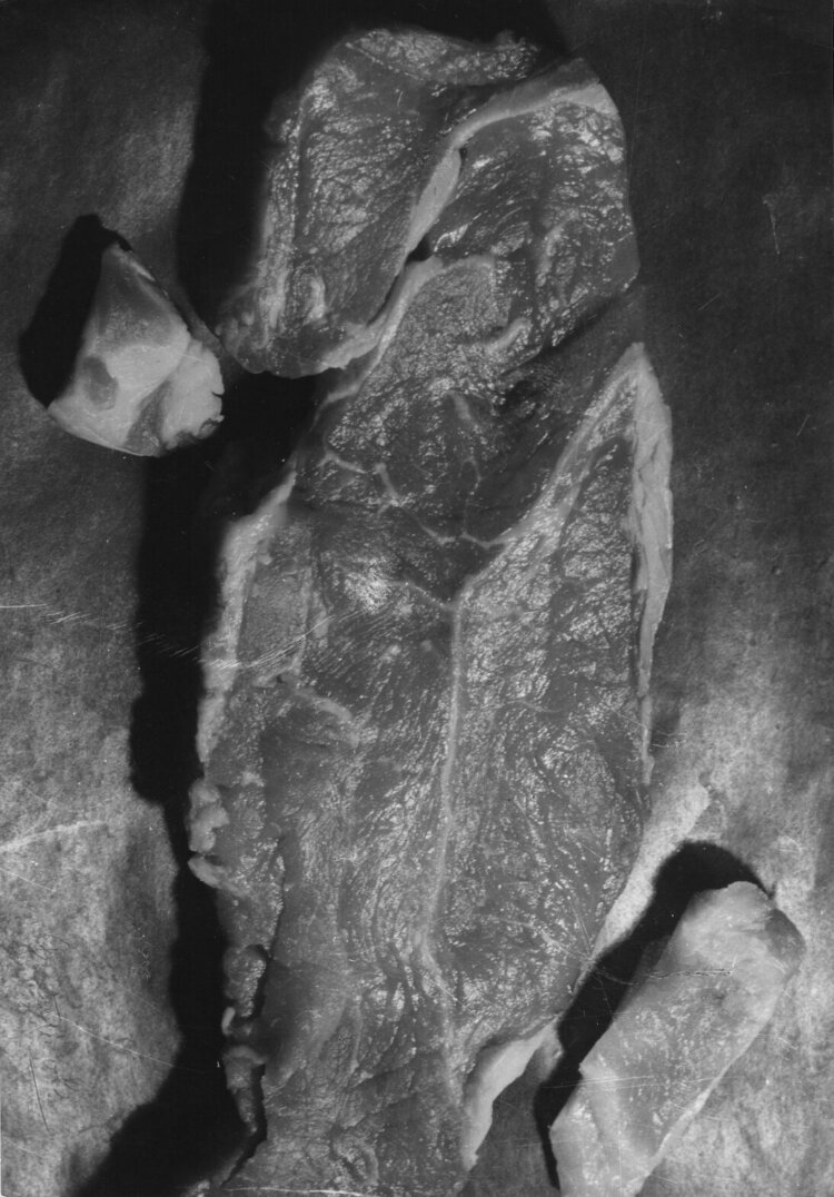 ヴォルス 《美しい肉片》 1939年 個人蔵。