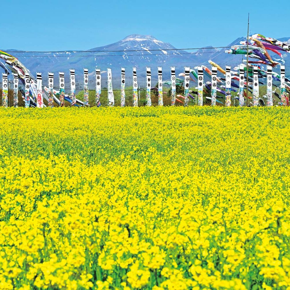 連続テレビ小説『風、薫る』始まりの地・那須でリフレッシュ旅！初夏の高原が育む風と新緑に会いに