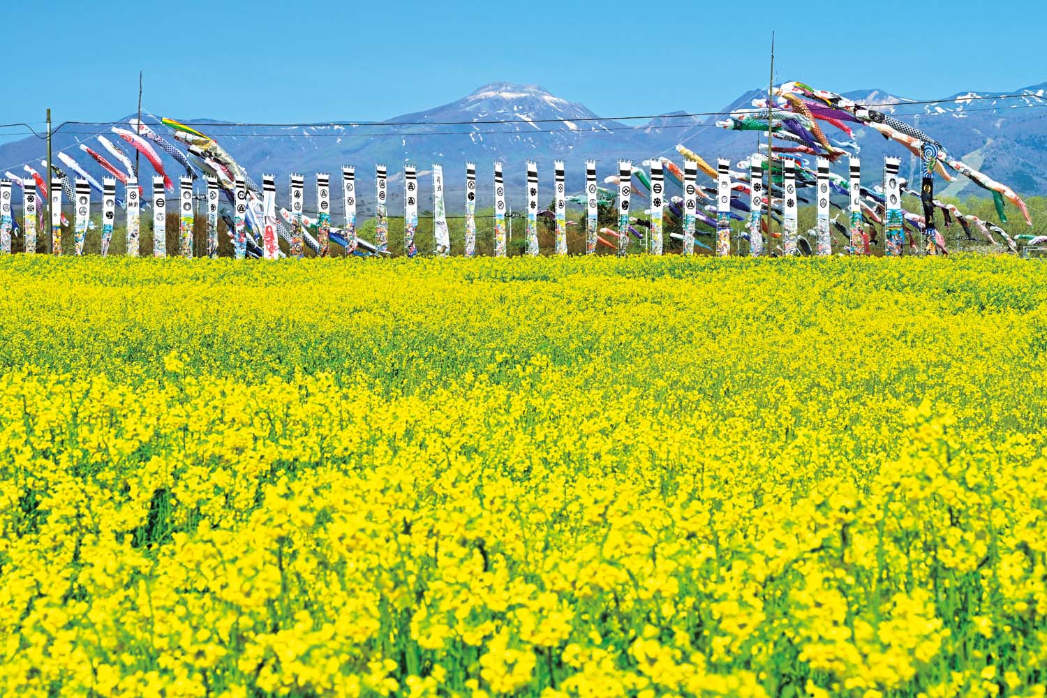 那須ハートフルファーム