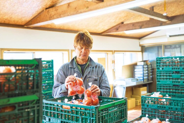 『那須ハートフルファーム』の磯輝雄さん。菜の花畑でもトマトなどの販売があるそう。